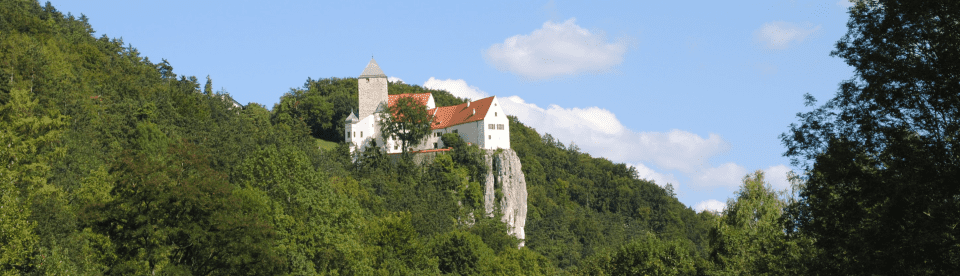 Burg auf Fels im Wald