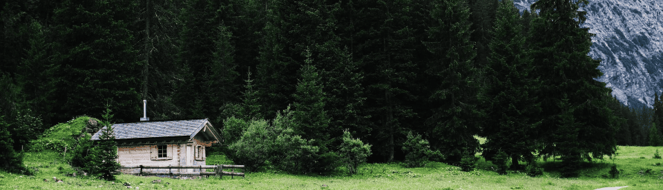Wald mit Haus
