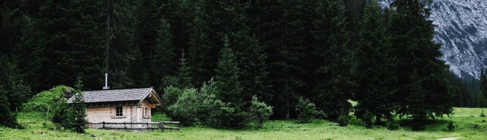 Kleine Hütte vor Wald