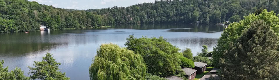 See mit viel grünem Wald