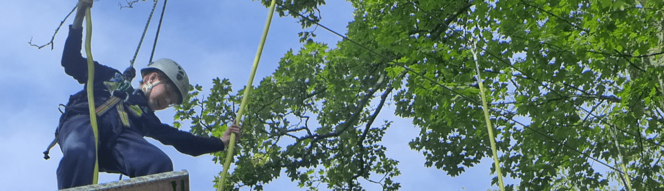 Junge im Klettergarten