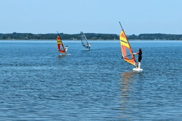 Windsurfer