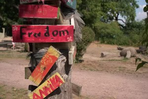 Richtungsschilder am Baum