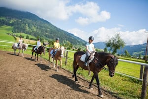 Reiten in der Gruppe auf dem Platz