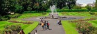 Jugendliche gehen durch einen Park