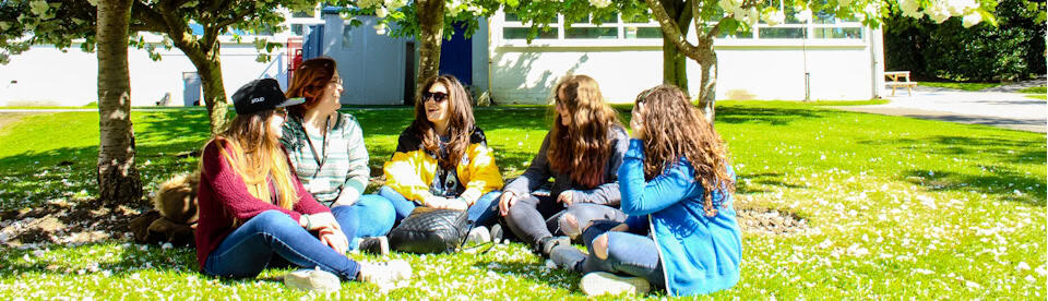 Jugendliche sitzen auf Wiese