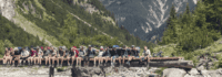Gruppenbild auf Baumstamm