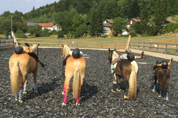Kinder liegen auf Pferderücken