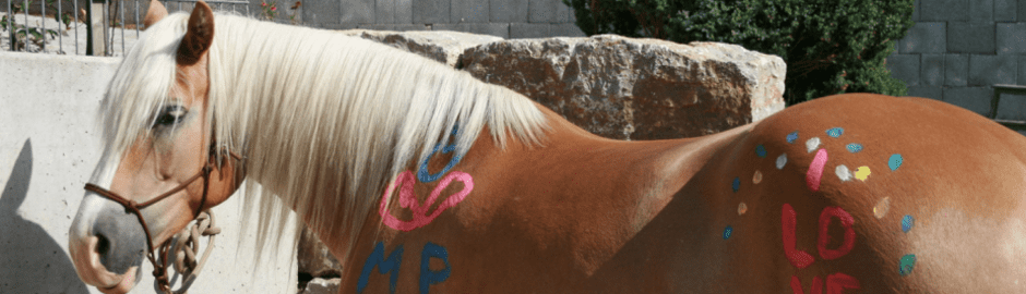 bemalter Haflinger