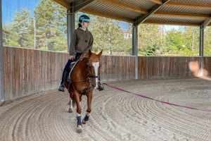 Mädchen reitet in der Halle