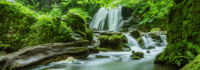 schöner Wasserfall im Wald