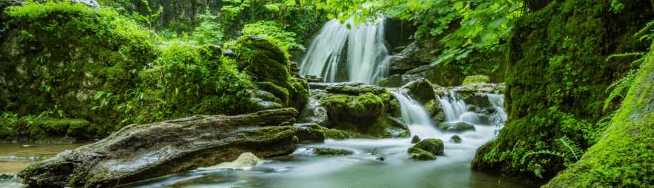 schöner Wasserfall im Wald