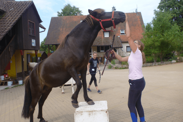 Pferd und Mädchen machen Kunststück
