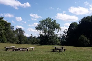 Die Hütte liegt inmitten der Natur