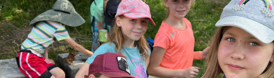 Kinder sammeln im Wald Moos