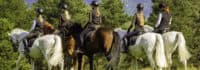 Mehrere Mädchen reiten auf Pferden