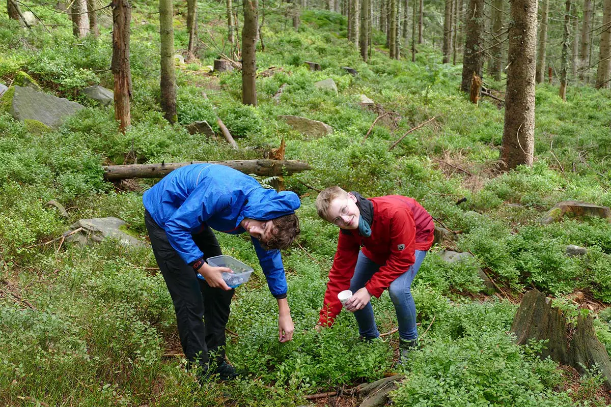Wildniss erleben im Einsteigercamp Harz