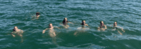 Kinder schimmen im See