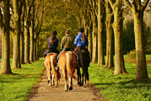 Drei Mädchen reiten durch den Wald