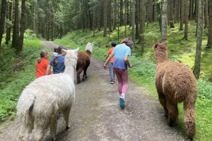 Kinder spazieren mit Lamas