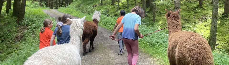 Kinder spazieren mit Lamas