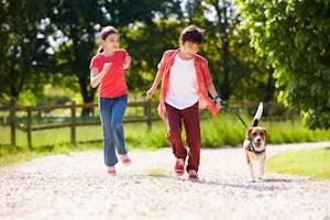 zwei Kinder gehen mit einem Hund Gassi