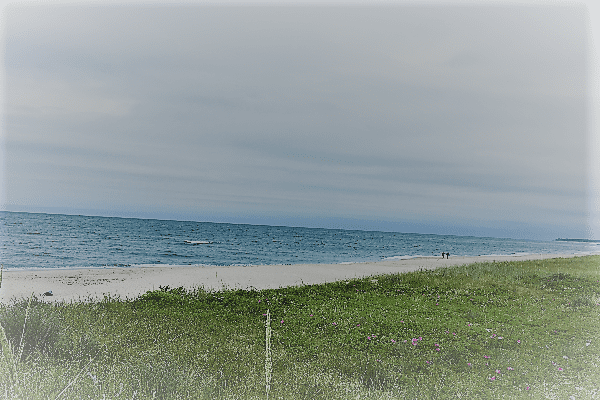 Wiese am Strand