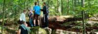 Kinder spielen im Wald