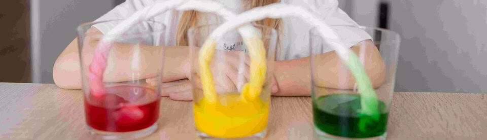 Wissenschaftsversuch