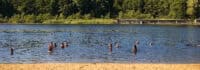 Kinder schwimmen in Boitzenburg im See