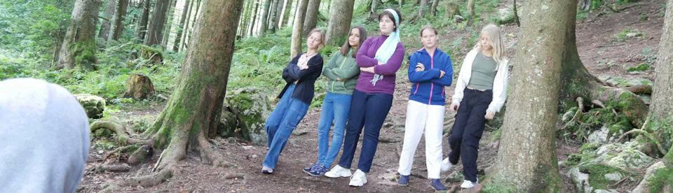 Social Media Video im Wald