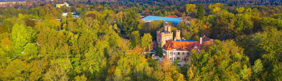 Burg Schwaneck von oben