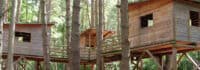 Baumhäuser im Camp in Wegscheide