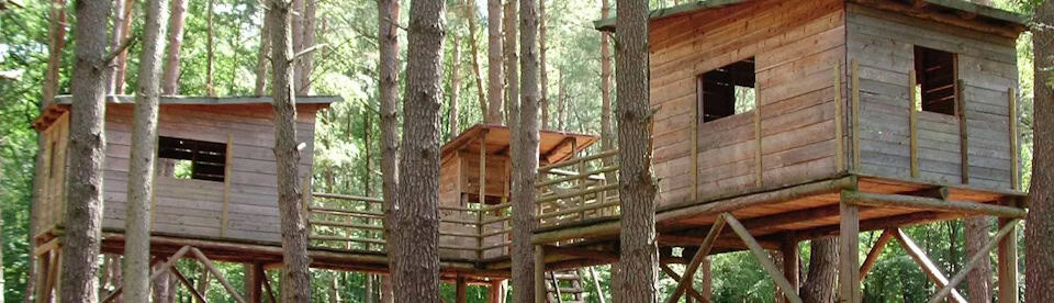 Baumhäuser im Camp in Wegscheide