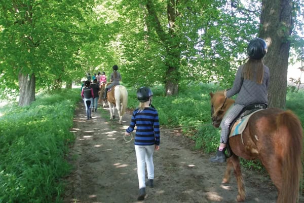 Reitausflug im Englisch & Reitcamp in Born