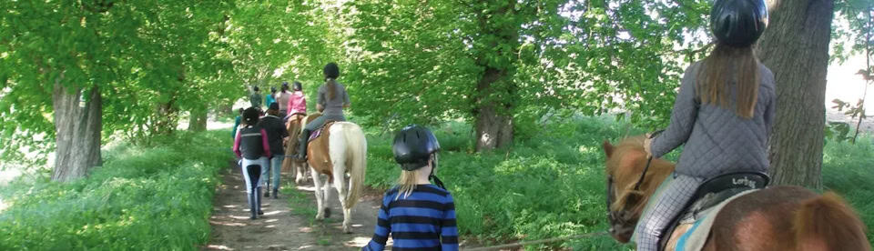 Kinder reiten auf einem wäldlichen Pfad