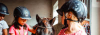 Kinder tragen Helm im Reitcamp