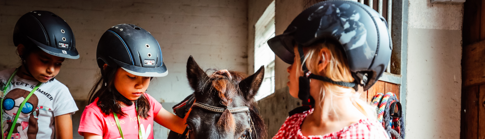 Kinder tragen Helm im Reitcamp