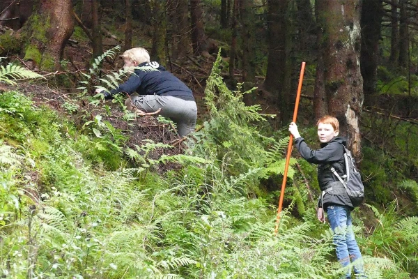 Spiele im Wald