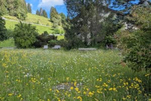 Landschaft im Allgäu