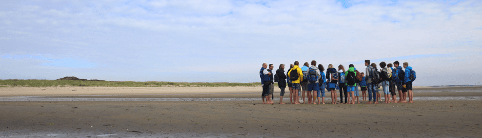 Gruppe im Watt