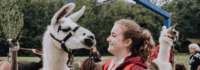 Mädchen und Lama lächeln sich an