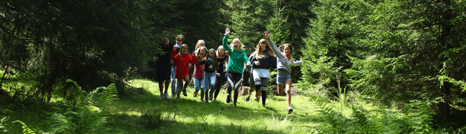 Kindergruppe läuft durch Wald