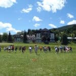 Jugendliche spielen auf großer Wiese